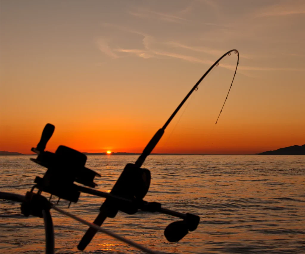 Sport Fishing: Where to practice sport fishing?